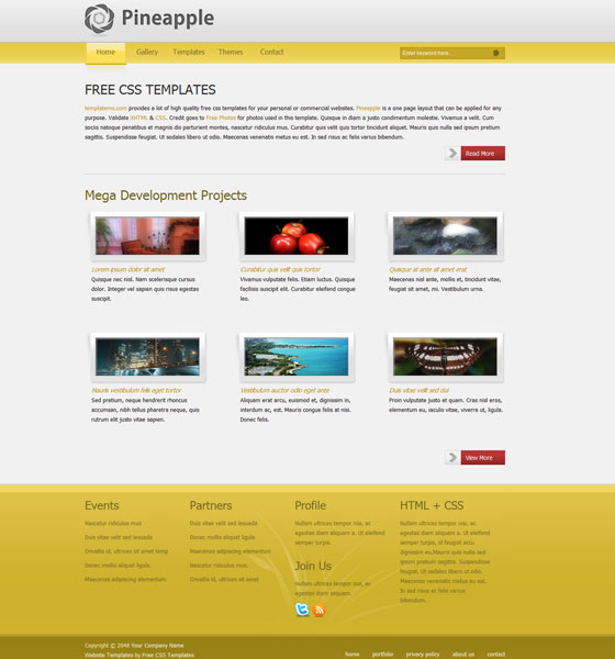  Free Html Css Templates Of 100 Best Free Html Css Website Templates 