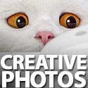 Post Thumbnail of Photos: 30+ Creative Photo &amp; Artwork