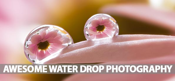 40 Awesome Examples Of Water Drop Photography