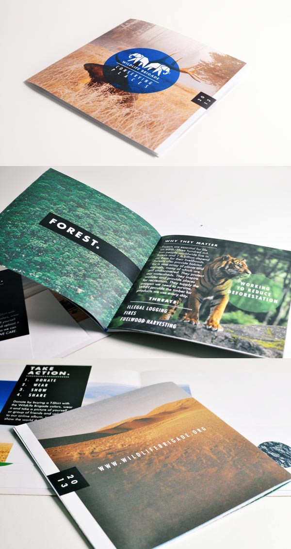 Brochure Designs 2013 - 2