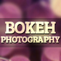 Post Thumbnail of Bokeh Photography - 35 Beautiful Photos