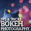 Post Thumbnail of Tips & Techniques for Better Bokeh Photography