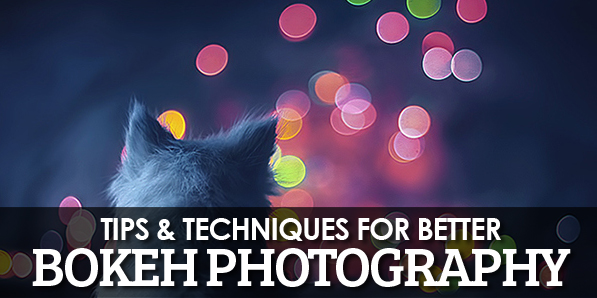 Tips & Techniques for Better Bokeh Photography