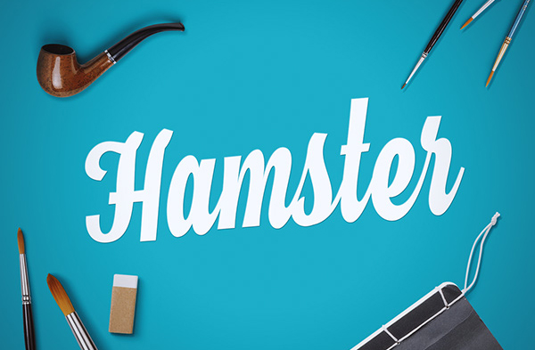 Hamster Script Free Font