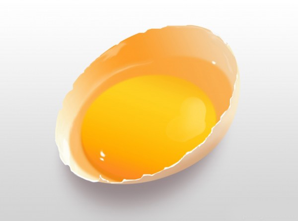 Create a Photo-Realistic Broken Egg from Scratch in Photoshop tutorial