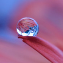 Post Thumbnail of 32 Beautiful Examples Of Water Drop Photography