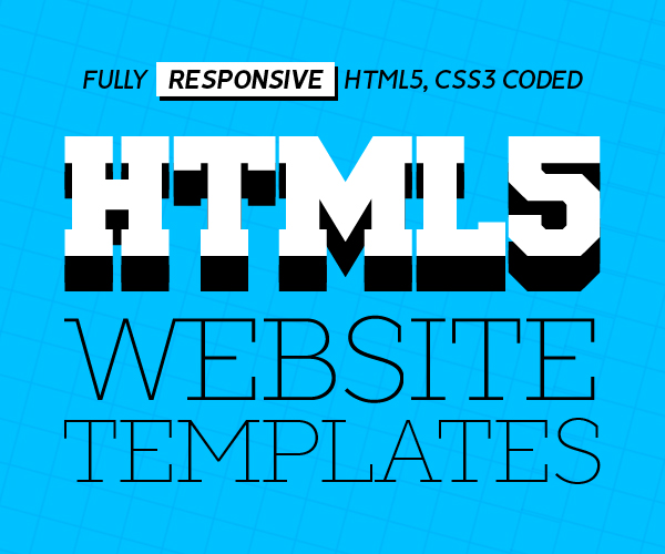 HTML5 Responsive Website Templates ( 16 Web Template )