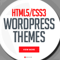 Post Thumbnail of HTML5 CSS3 Responsive WordPress Themes