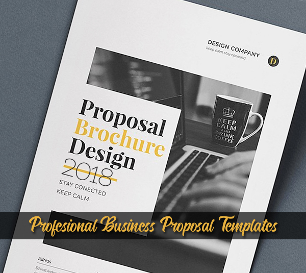 18 Professional Business Proposal Brochure Templates