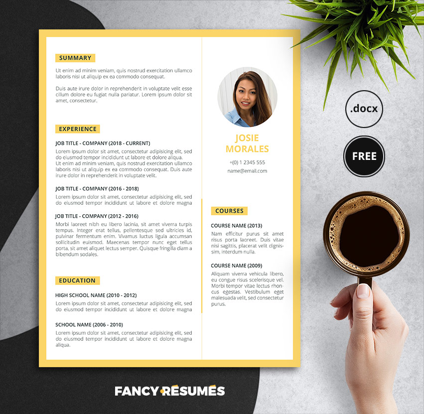 Fancy Resume Templates from graphicdesignjunction.com