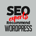 Post Thumbnail of Why Do SEO Experts Recommend WordPress as The Best CMS?