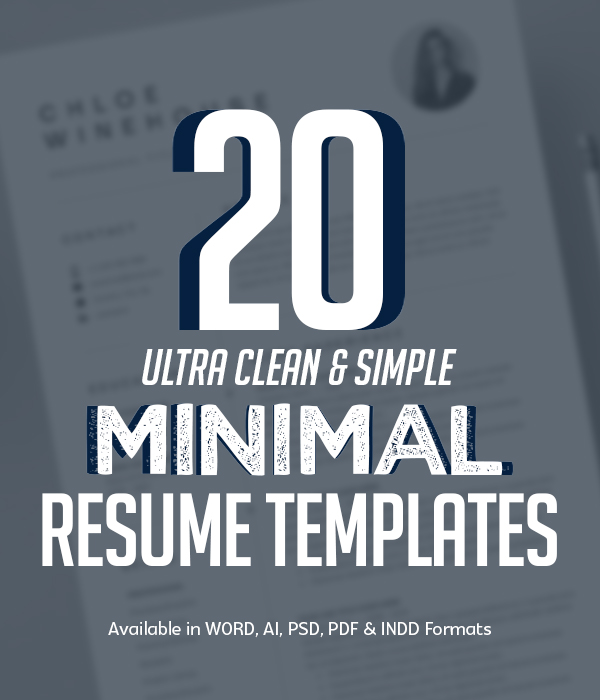 20 Best Clean Minimal Resume Templates
