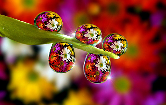 35 Colorful Photos and ArtWork
