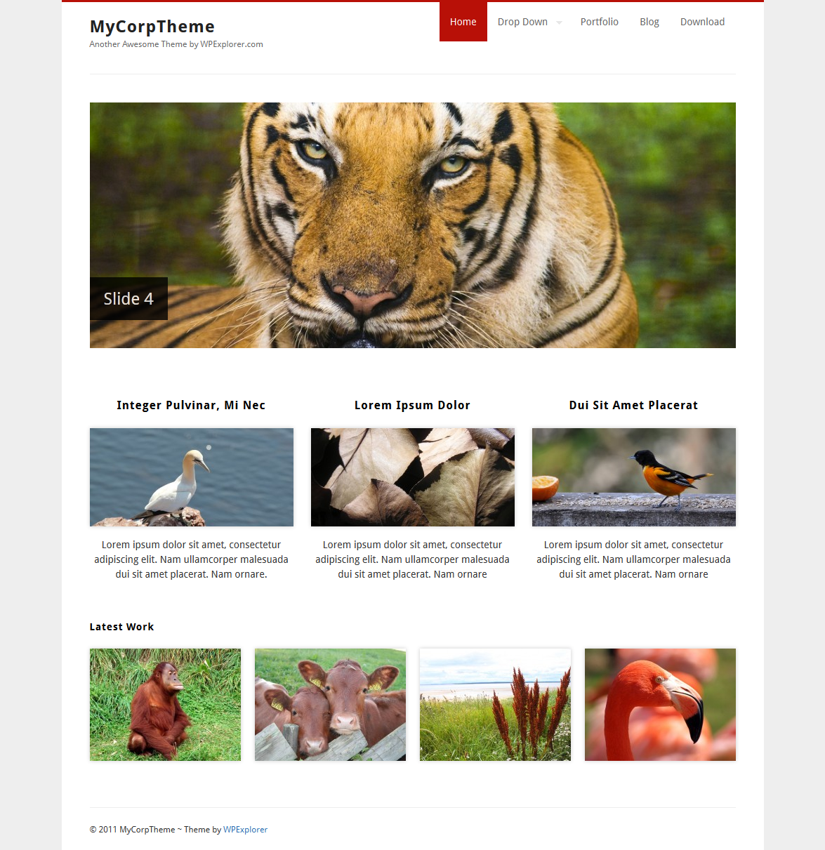 GraphicDesignJunction: 35+ Fresh WordPress Themes