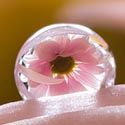 Post thumbnail of 40 Awesome Examples Of Water Drop Photography