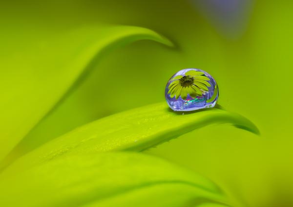 Beautiful Water Drop Photography 1