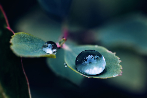 Beautiful Water Drop Photography 13