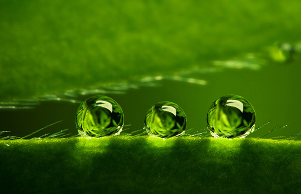 Beautiful Water Drop Photography 15