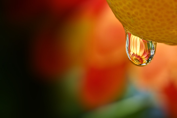 Beautiful Water Drop Photography 16