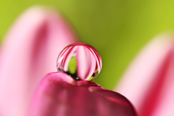 Beautiful Water Drop Photography 17