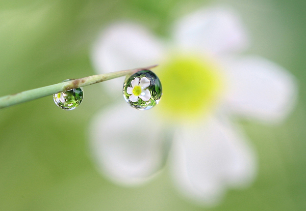 Beautiful Water Drop Photography 18