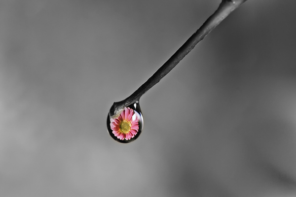 Beautiful Water Drop Photography 19