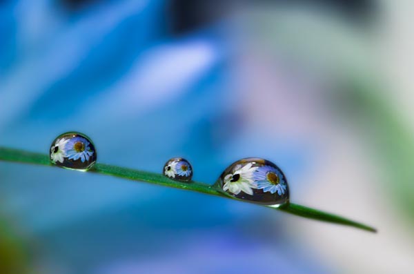 Beautiful Water Drop Photography 2