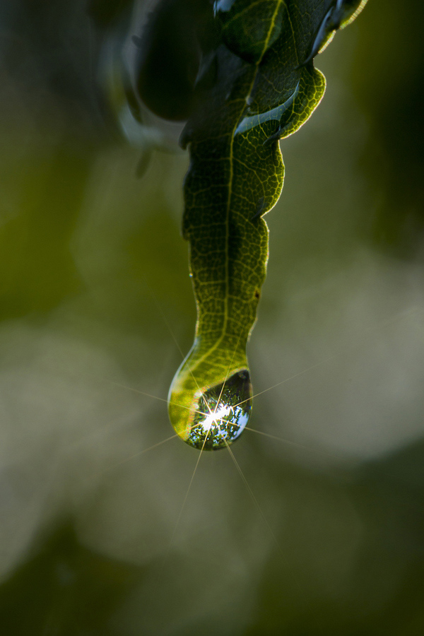 Beautiful Water Drop Photography 24