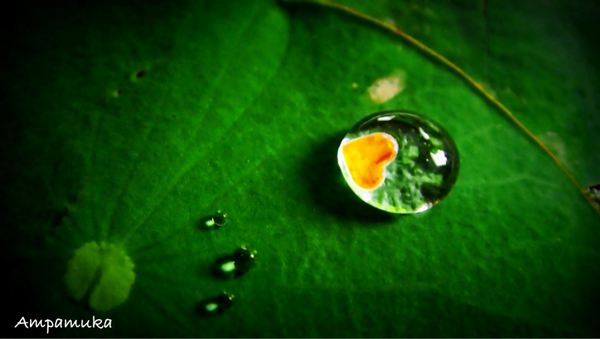 Beautiful Water Drop Photography 26