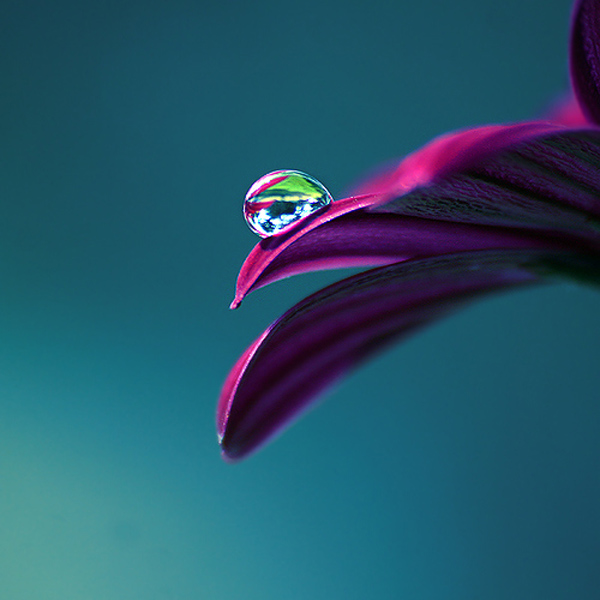 Beautiful Water Drop Photography 27