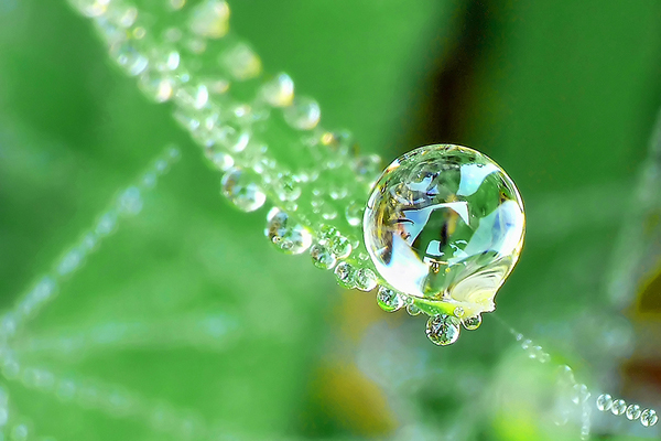 Beautiful Water Drop Photography 28
