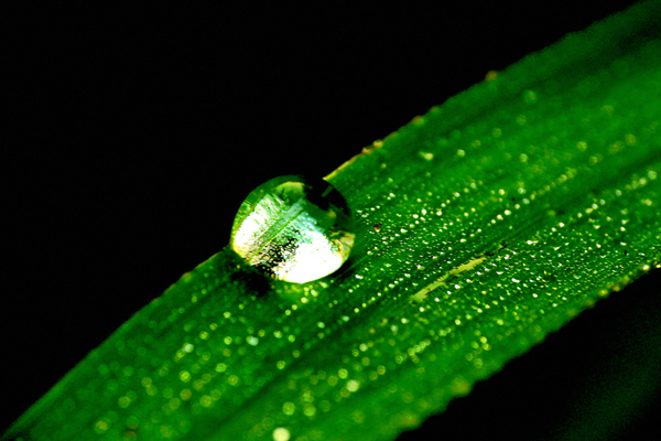 Beautiful Water Drop Photography 29