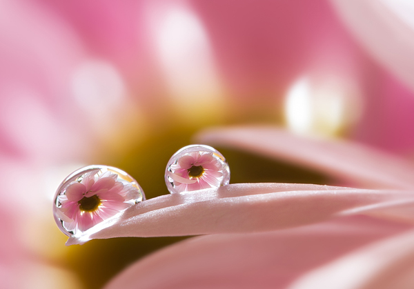 Water Drop Photography 39