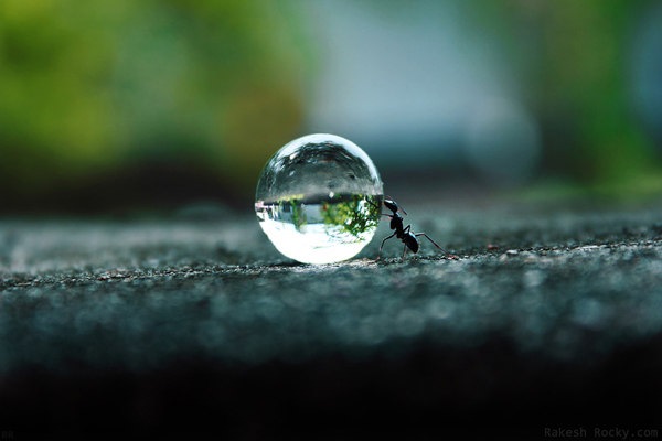 Water Drop Photography 40