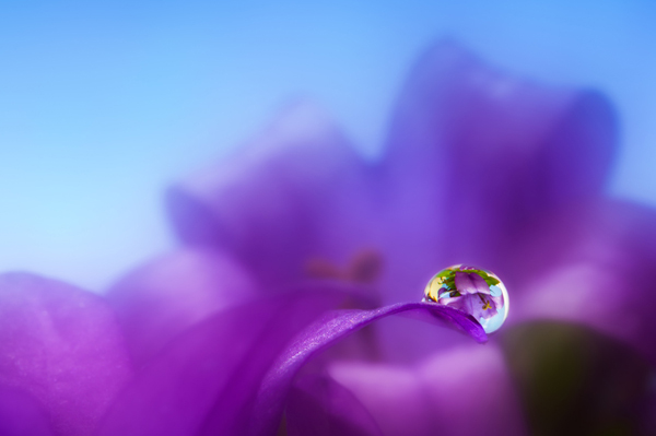 Beautiful Water Drop Photography 6