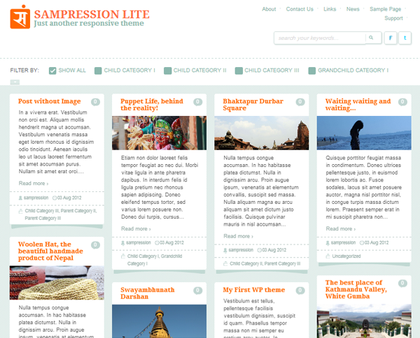  Sampression Lite Responsive WordPress Theme - 8