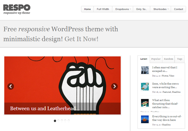 Respo Responsive WordPress Theme - 9
