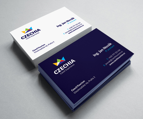 Professional business card design 19