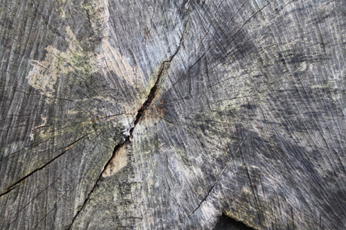 High Qualtity Wood Textures-1