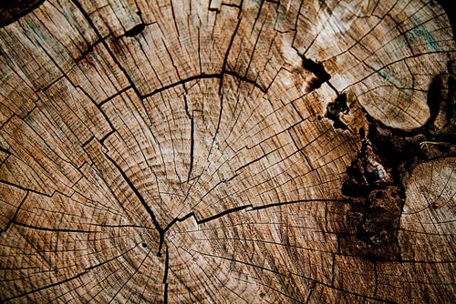 High Qualtity Wood Textures-13
