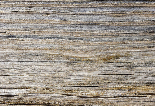 High Qualtity Wood Textures-14