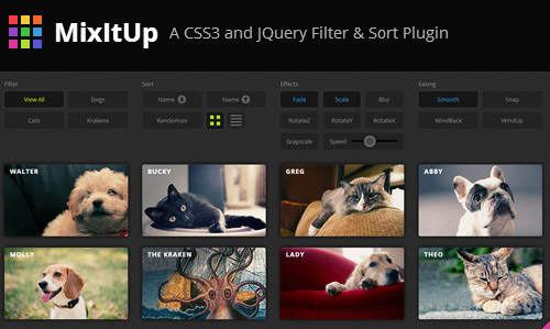 MixItUp: CSS3 and jQuery Plugin for Filtering and Sorting Items