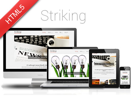 Striking – Clean Style Responsive Website Template