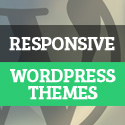 Post thumbnail of New Premium Responsive WordPress Themes