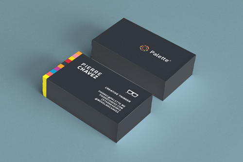 Palette / Visual Identity Business card