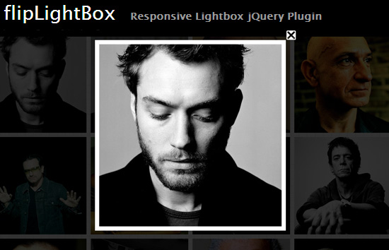 flipLightBox: Responsive Lightbox jQuery Plugin