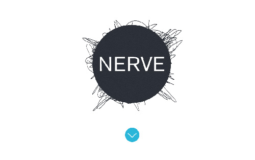 Nerve Collective One Page Website Design