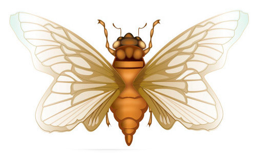 How to Create a Cicada in Adobe Illustrator