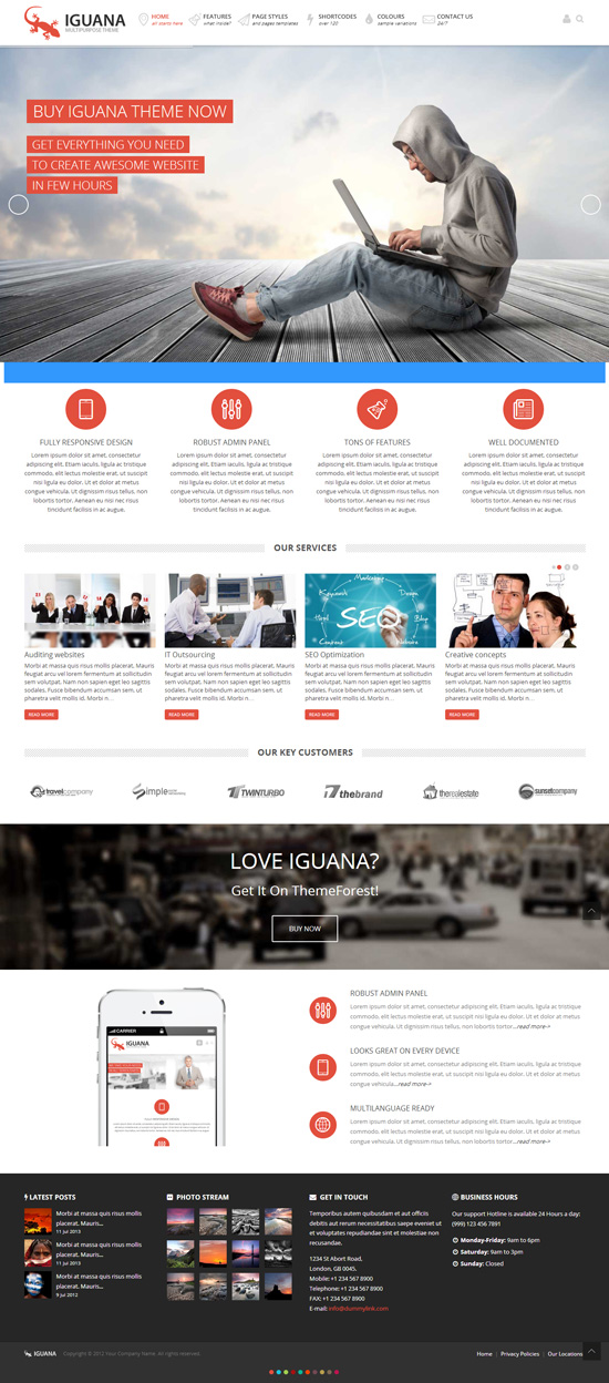 Iguana – Responsive Multi-Purpose WordPress Theme