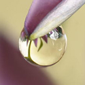 Post thumbnail of 42 Beautiful Examples Of Water Drop Photography
